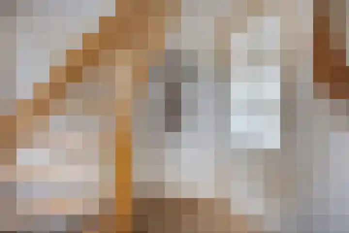 Waterlelie 5 Gemert thumbnail 7