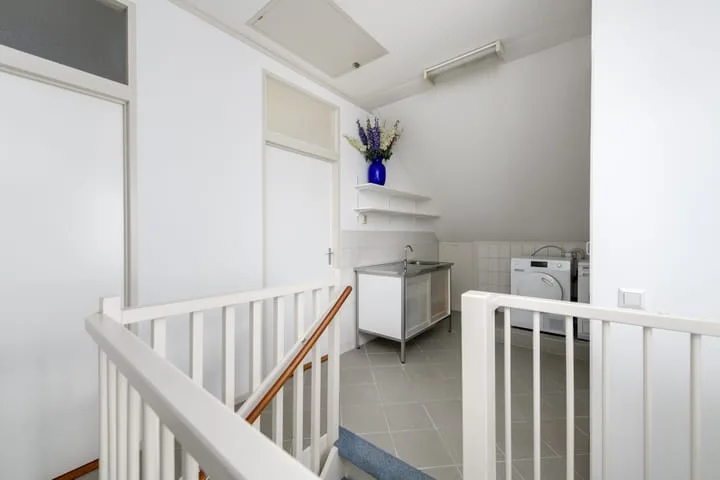 Waterlelie 55 Drachten thumbnail 30