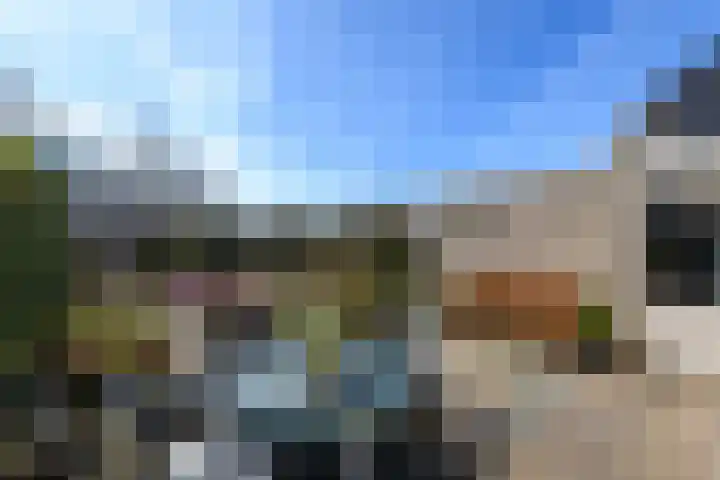 Waterlelie 55 Drachten thumbnail 33
