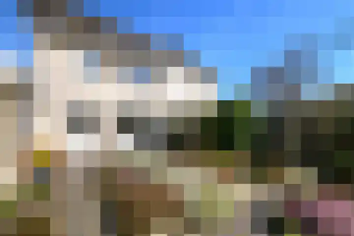 Waterlelie 55 Drachten thumbnail 36