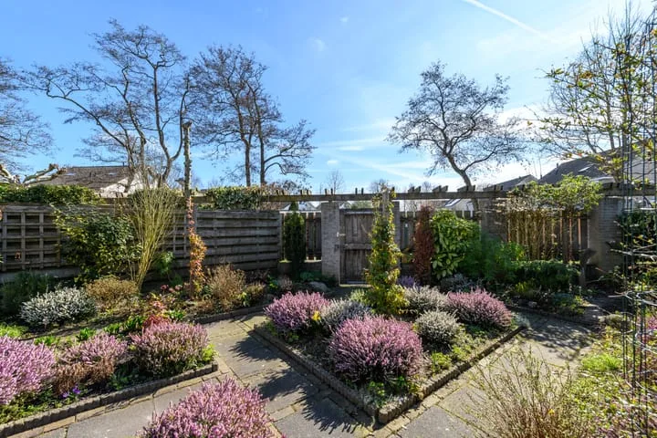 Waterlelie 55 Drachten thumbnail 39