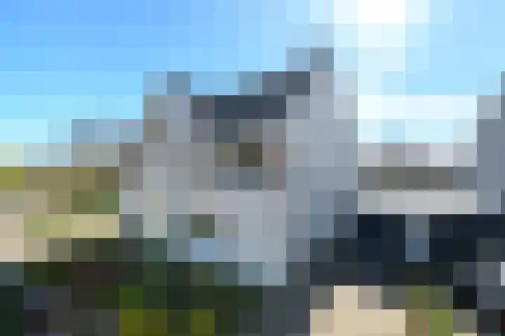 Waterlelie 55 Drachten thumbnail 4