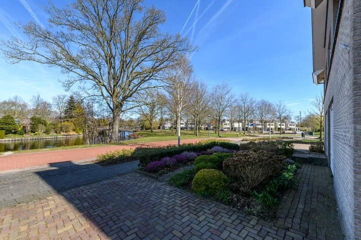 Waterlelie 55 Drachten thumbnail 41