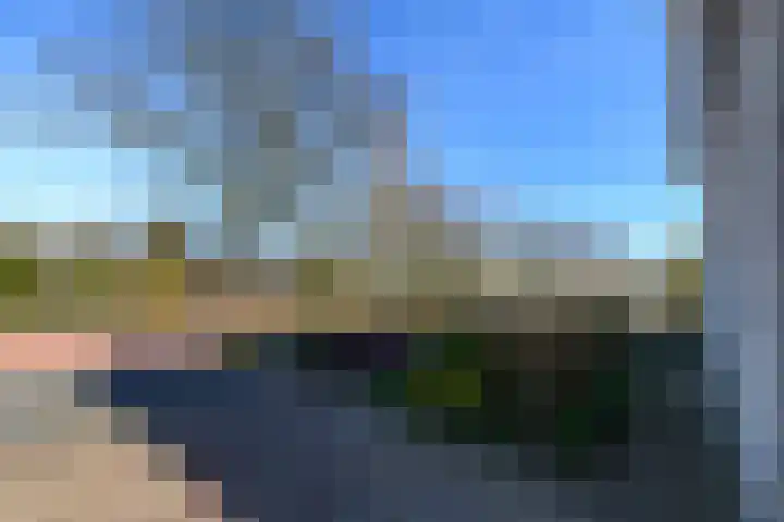 Waterlelie 55 Drachten thumbnail 41