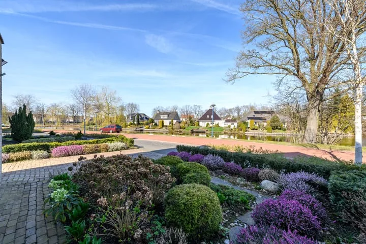 Waterlelie 55 Drachten thumbnail 42