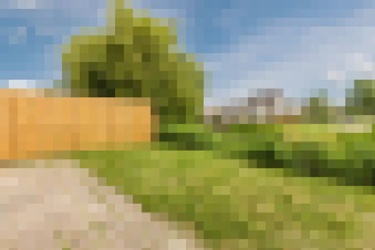 Waterlelie 55 Oudkarspel thumbnail 22