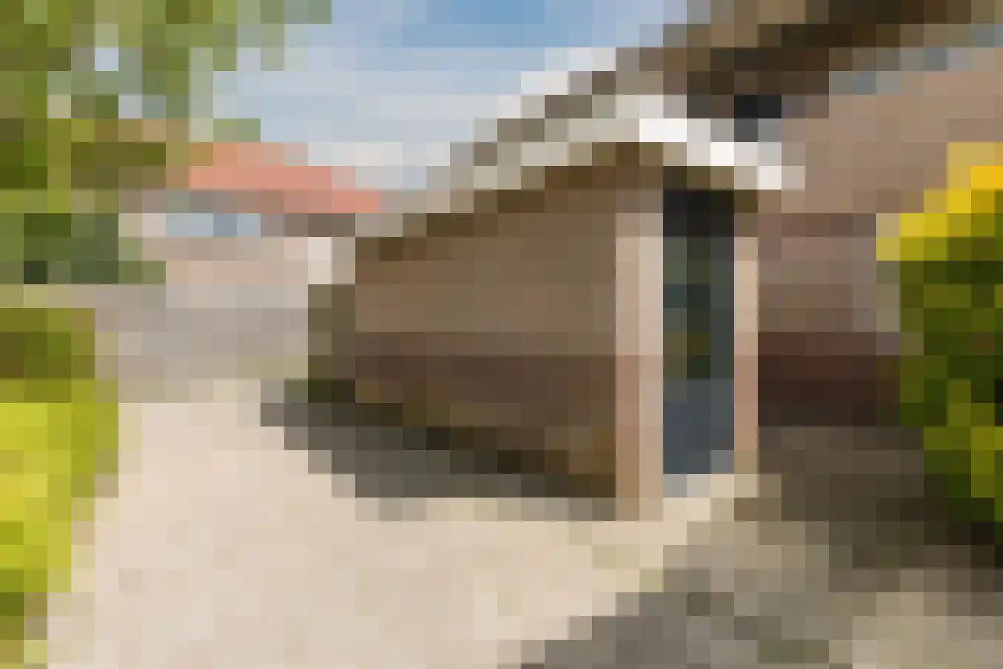 Waterlelie 55 Oudkarspel thumbnail 24