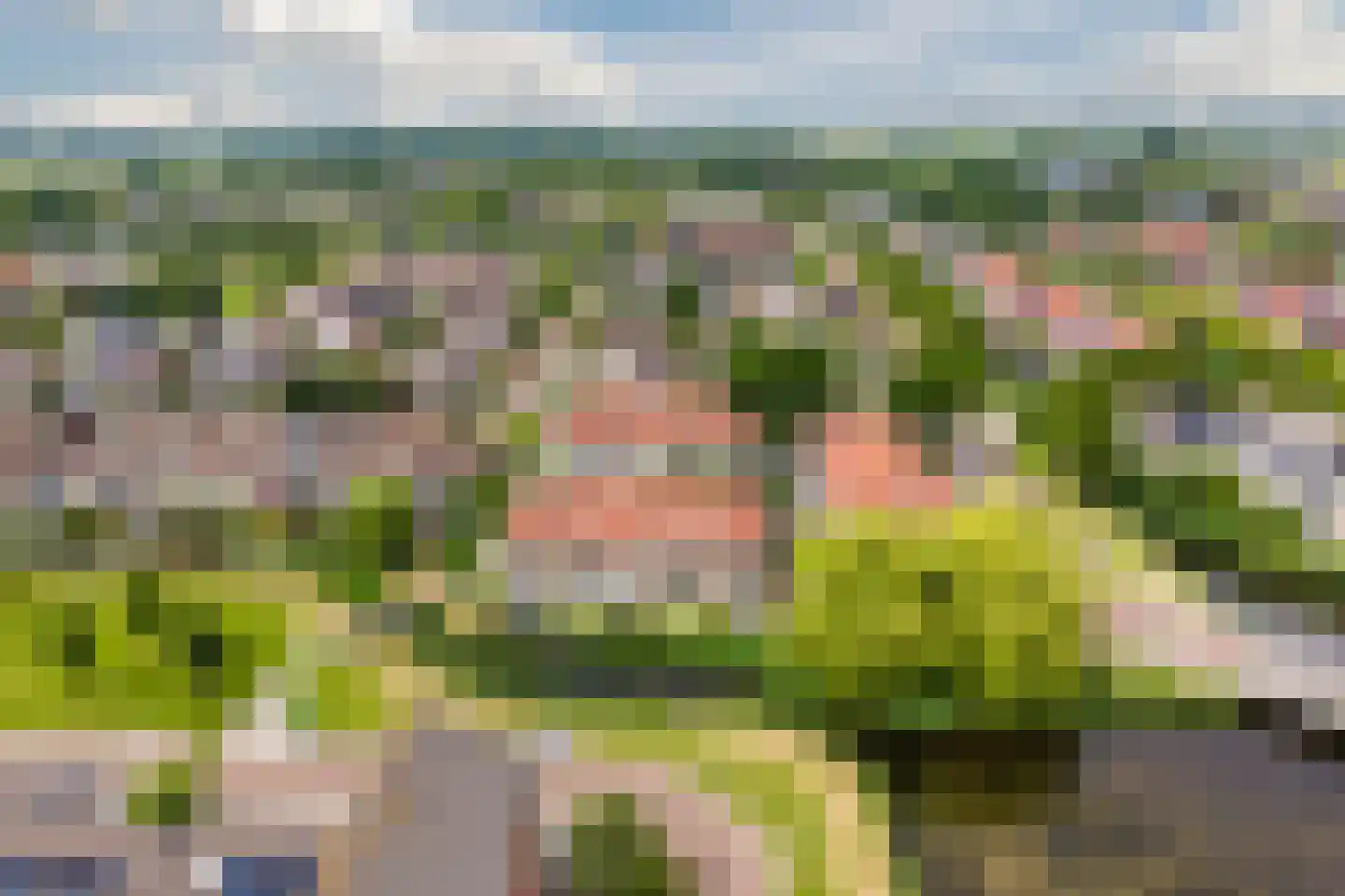 Waterlelie 55 Oudkarspel thumbnail 29