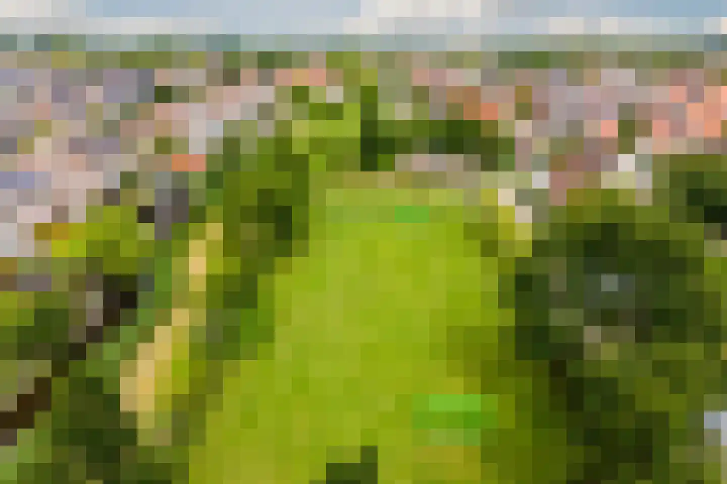 Waterlelie 55 Oudkarspel thumbnail 30