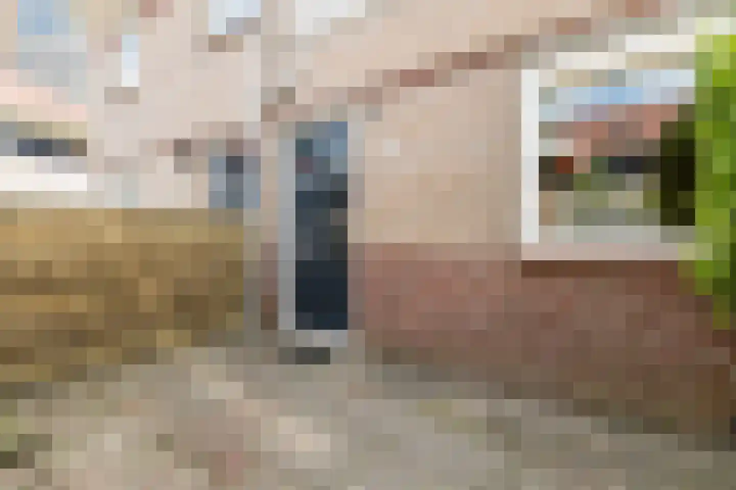 Waterlelie 55 Oudkarspel thumbnail 31