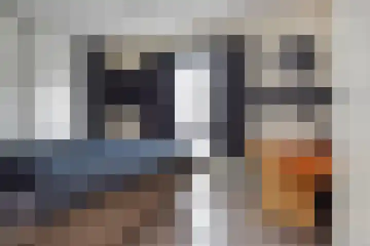 Waterlelie 56 Roelofarendsveen thumbnail 19