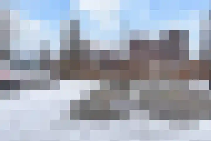 Waterlelie 56 Roelofarendsveen thumbnail 28
