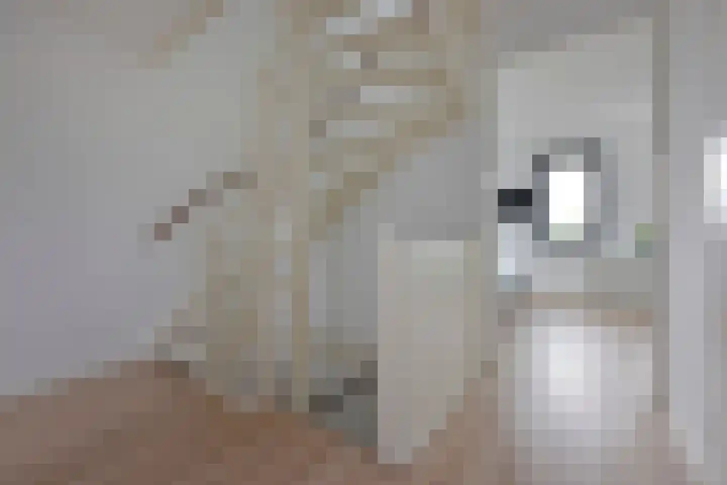 Waterlelie 6 Nieuwveen thumbnail 27