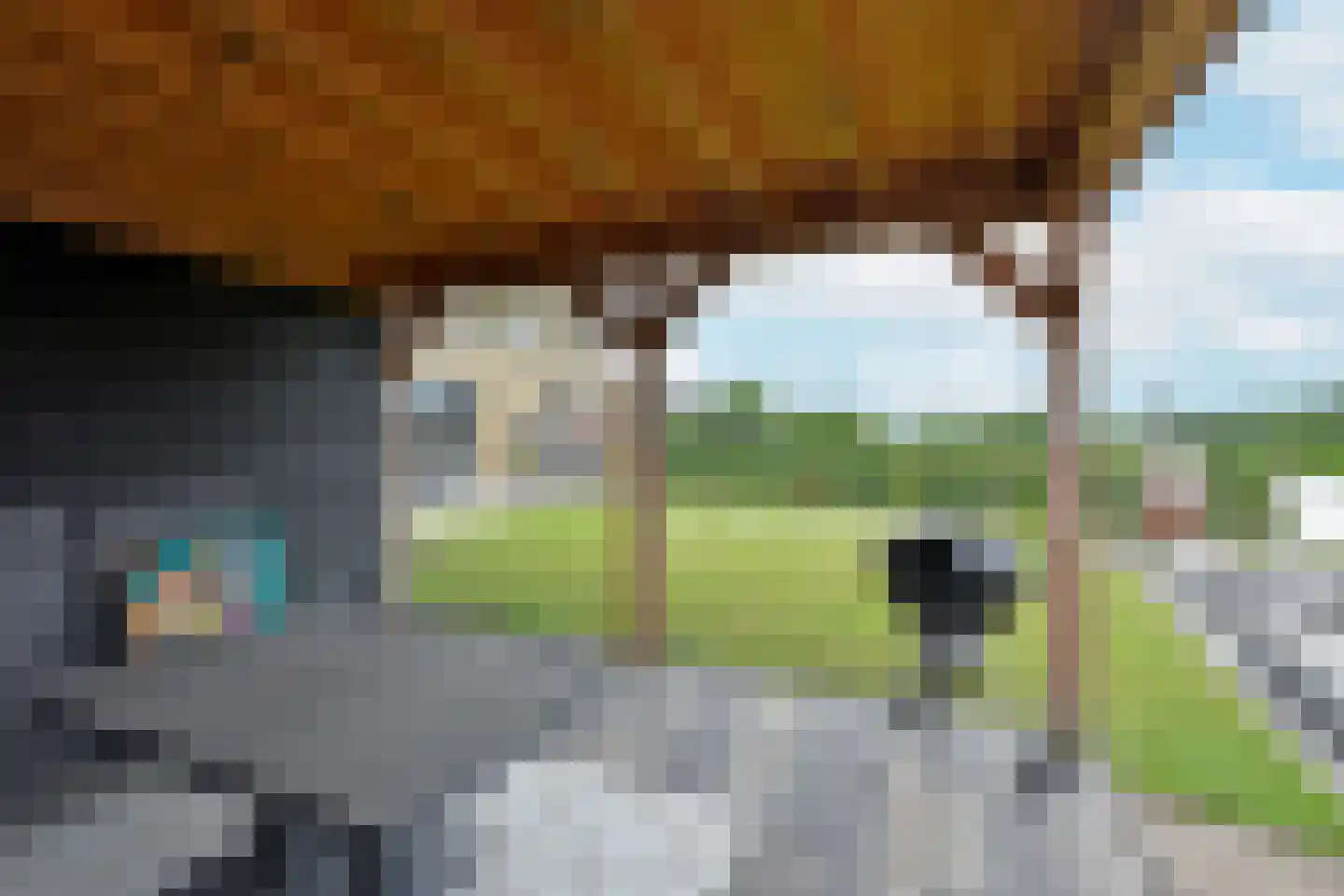 Waterlelie 6 Nieuwveen thumbnail 40