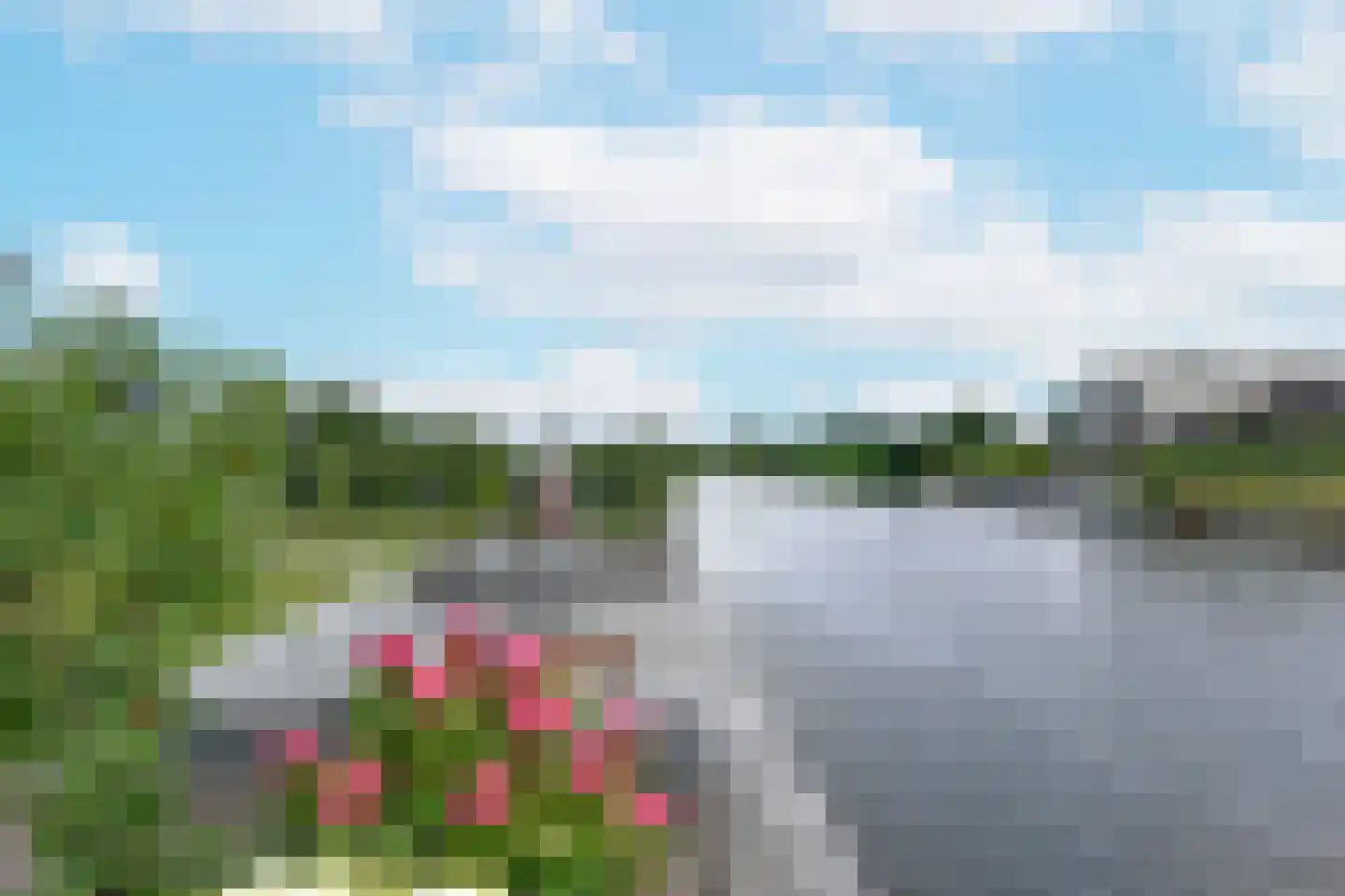Waterlelie 6 Nieuwveen thumbnail 45