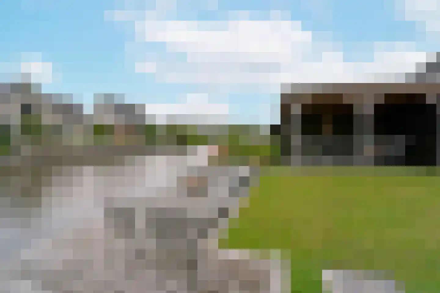 Waterlelie 6 Nieuwveen thumbnail 46