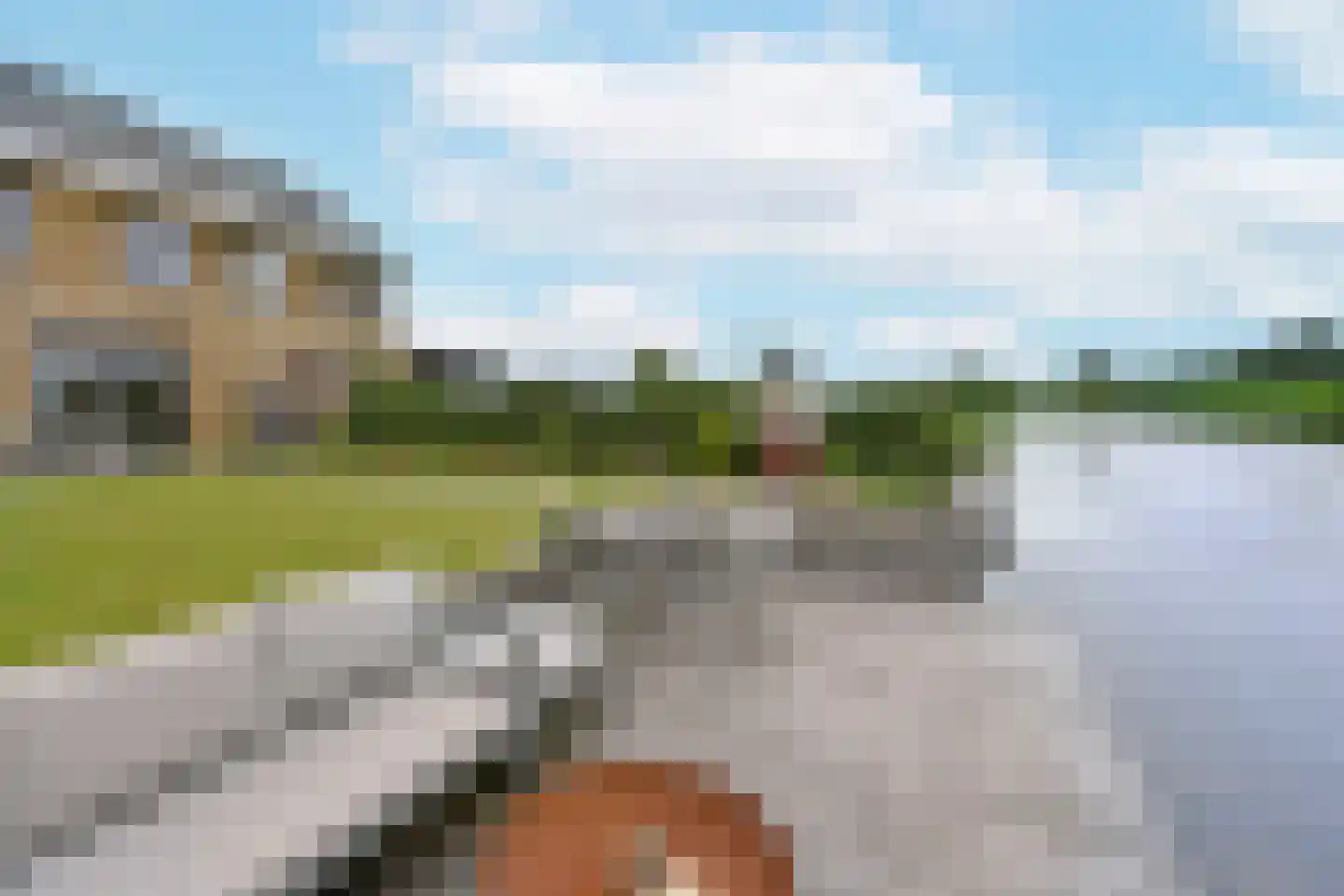 Waterlelie 6 Nieuwveen thumbnail 47