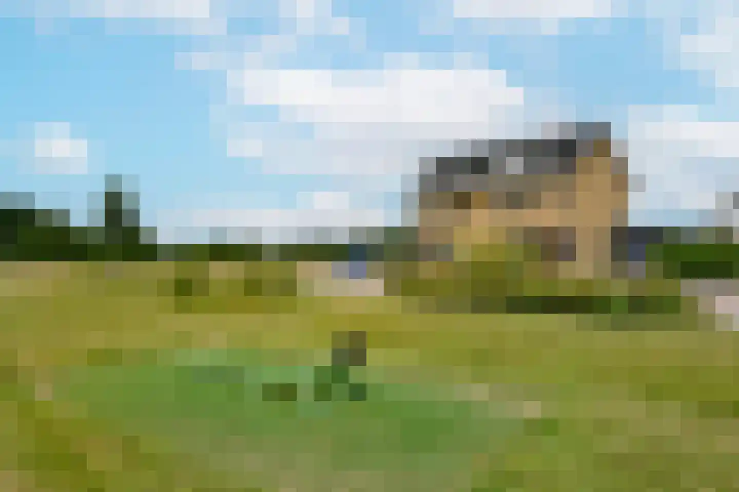 Waterlelie 6 Nieuwveen thumbnail 48