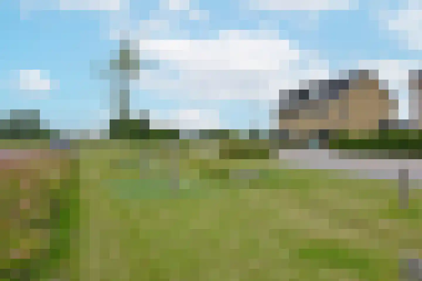 Waterlelie 6 Nieuwveen thumbnail 49