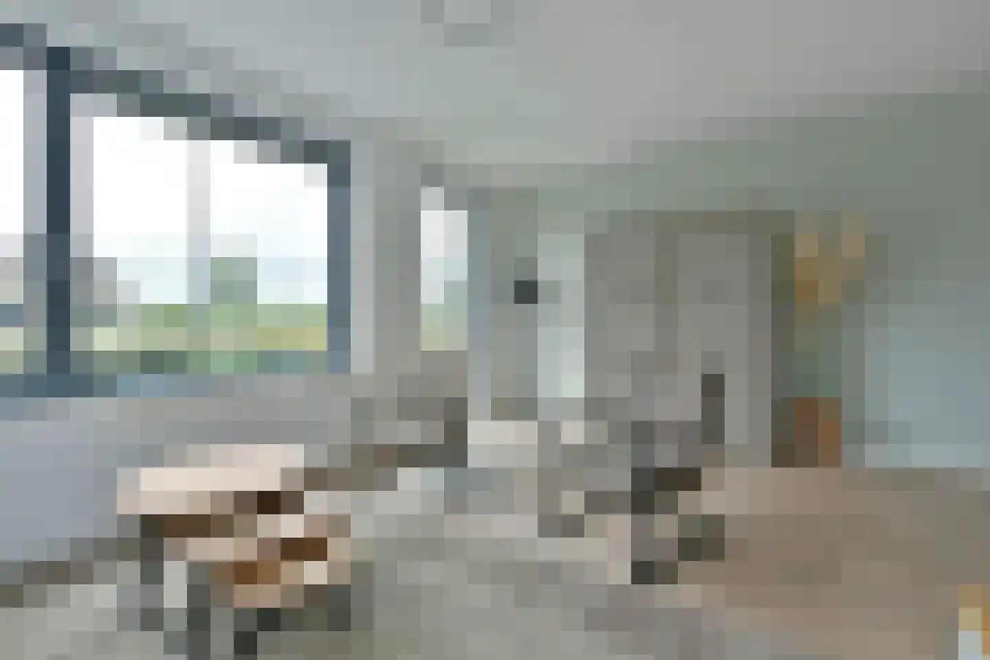 Waterlelie 6 Nieuwveen thumbnail 7