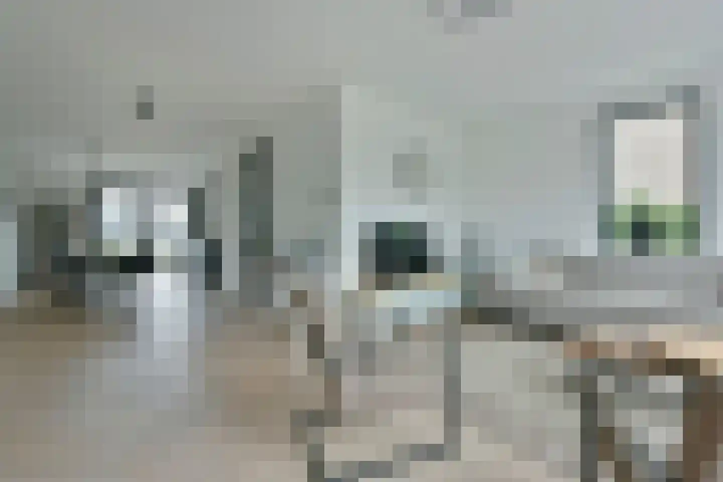 Waterlelie 6 Nieuwveen thumbnail 8