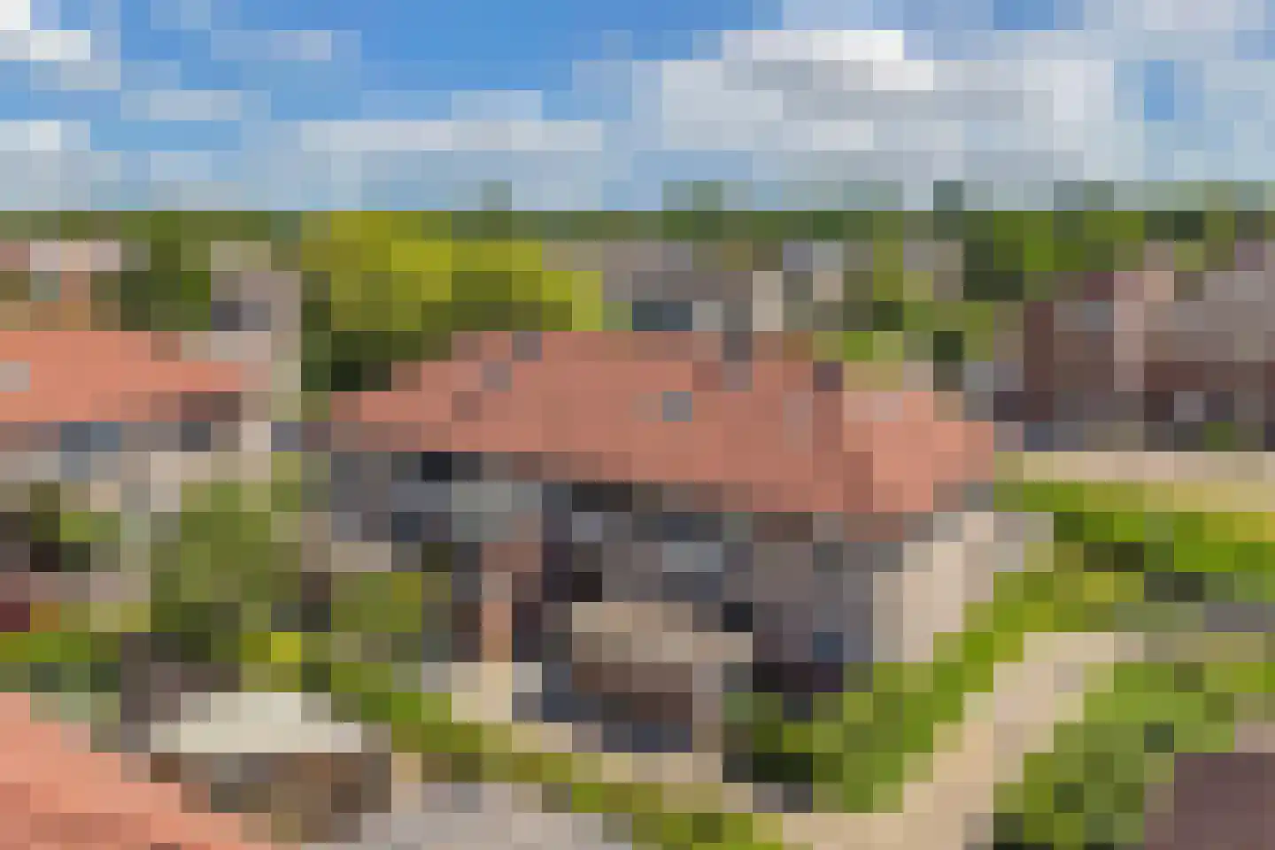 Waterlelie 61 Oudkarspel thumbnail 11