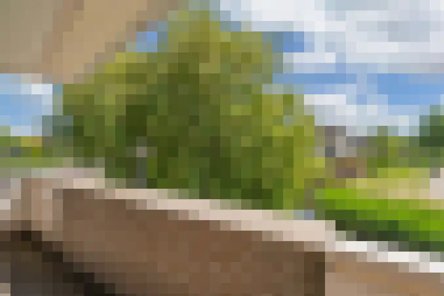 Waterlelie 61 Oudkarspel thumbnail 27