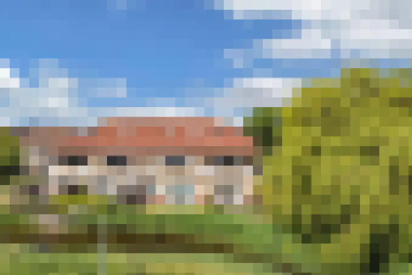 Waterlelie 61 Oudkarspel thumbnail 35