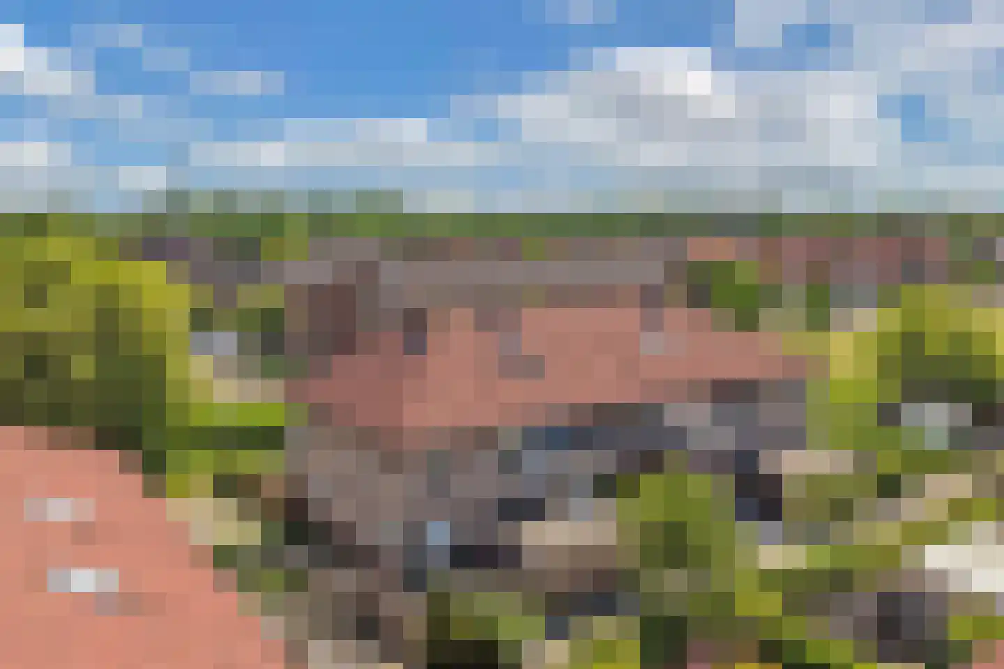 Waterlelie 61 Oudkarspel thumbnail 5