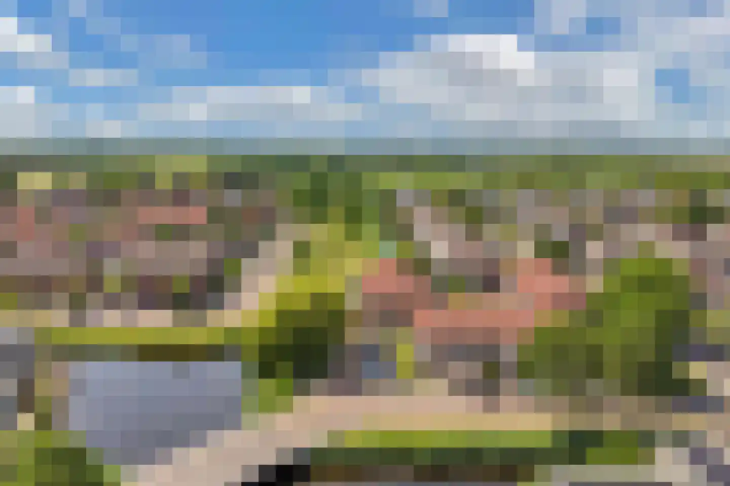 Waterlelie 61 Oudkarspel thumbnail 8