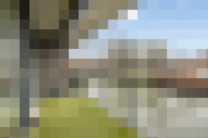 Waterlelie 62 Roelofarendsveen thumbnail 11