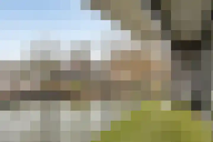 Waterlelie 62 Roelofarendsveen thumbnail 12