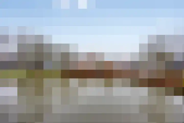 Waterlelie 62 Roelofarendsveen thumbnail 13