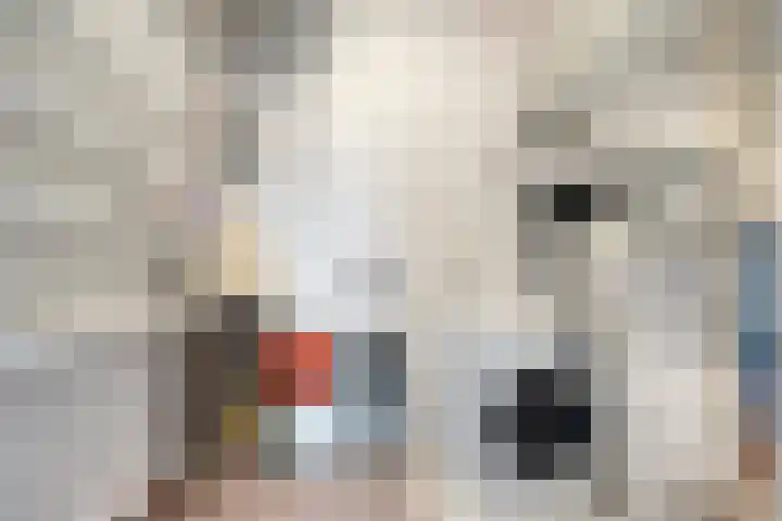 Waterlelie 62 Roelofarendsveen thumbnail 18