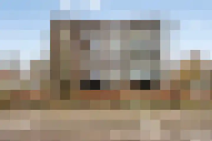 Waterlelie 62 Roelofarendsveen thumbnail 22