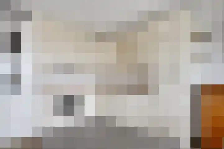 Waterlelie 62 Roelofarendsveen thumbnail 9
