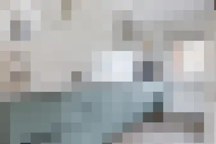 Waterlelie 63 Oudkarspel thumbnail 10
