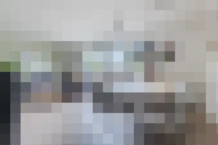 Waterlelie 63 Oudkarspel thumbnail 14