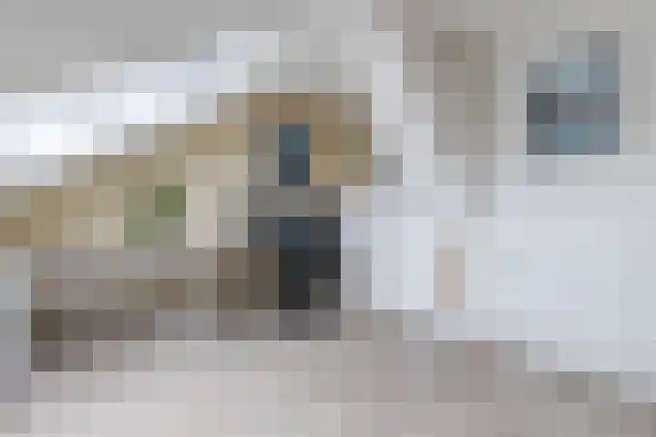 Waterlelie 63 Oudkarspel thumbnail 26