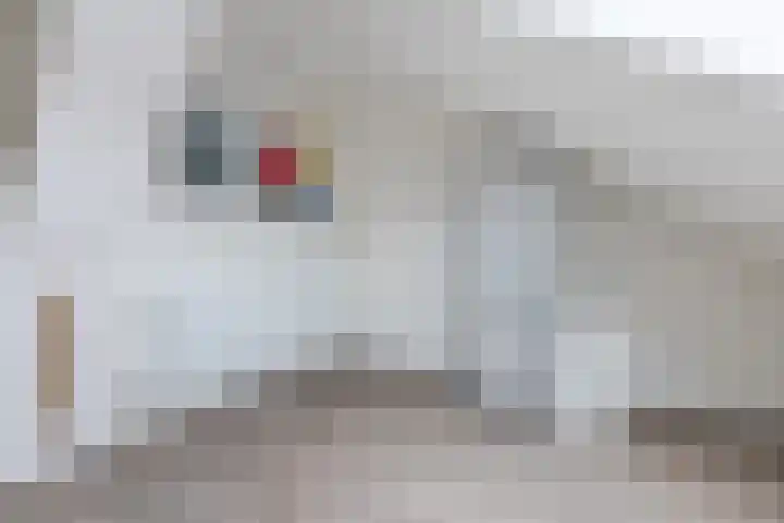 Waterlelie 63 Oudkarspel thumbnail 27