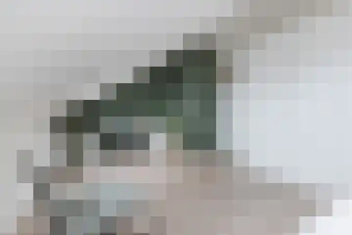 Waterlelie 63 Oudkarspel thumbnail 29