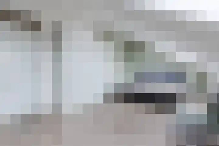 Waterlelie 63 Oudkarspel thumbnail 30