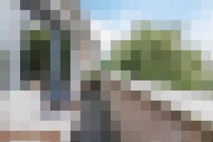 Waterlelie 63 Oudkarspel thumbnail 32