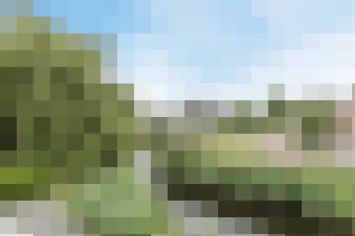 Waterlelie 63 Oudkarspel thumbnail 33