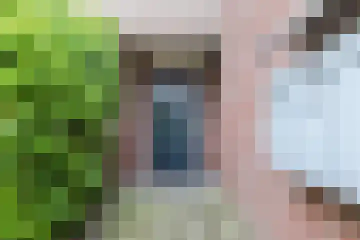 Waterlelie 63 Oudkarspel thumbnail 34