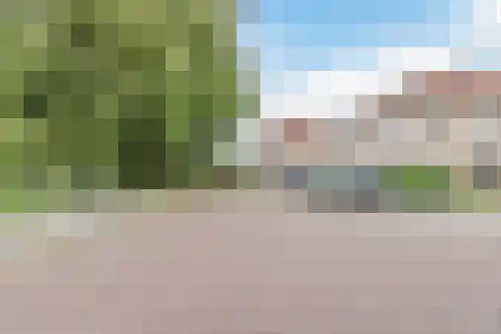 Waterlelie 63 Oudkarspel thumbnail 36
