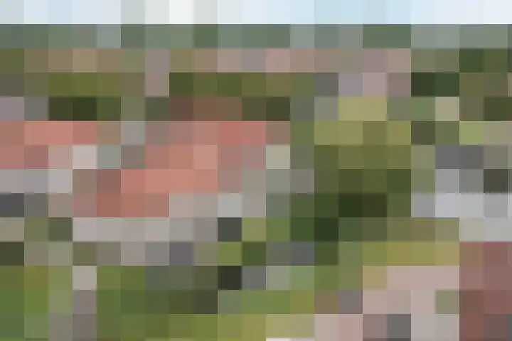 Waterlelie 63 Oudkarspel thumbnail 38