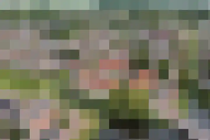Waterlelie 63 Oudkarspel thumbnail 39