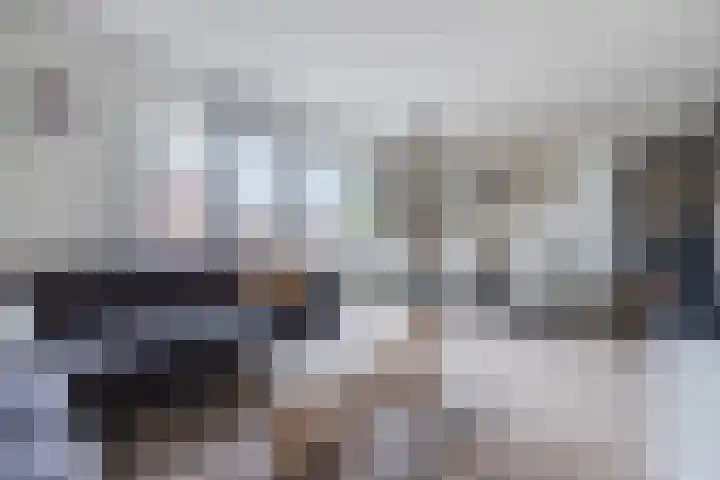 Waterlelie 63 Oudkarspel thumbnail 5