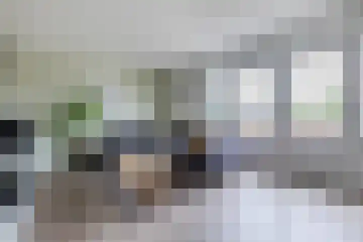 Waterlelie 63 Oudkarspel thumbnail 6